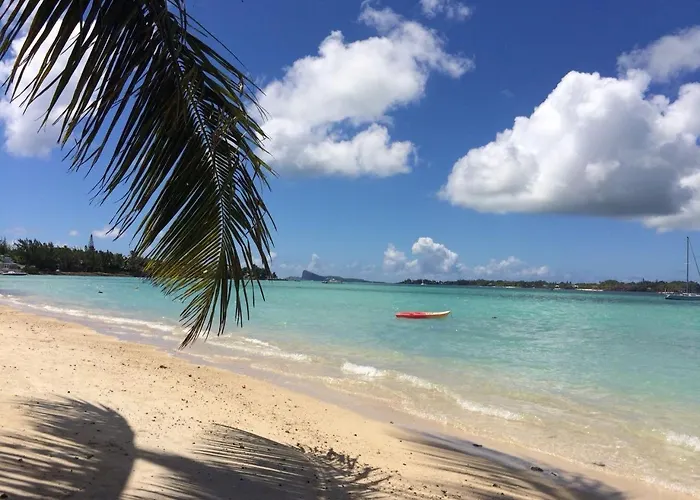 Bel Appartement Sur La Route Cotiere A 50 M D Une Tres Belle Plage