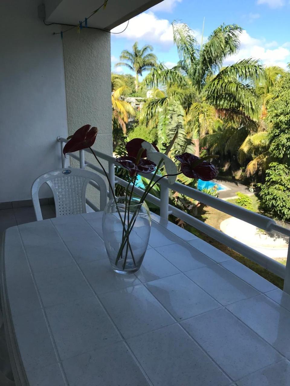 Apartament Bel Sur La Route Cotiere A 50 M D Tres Belle